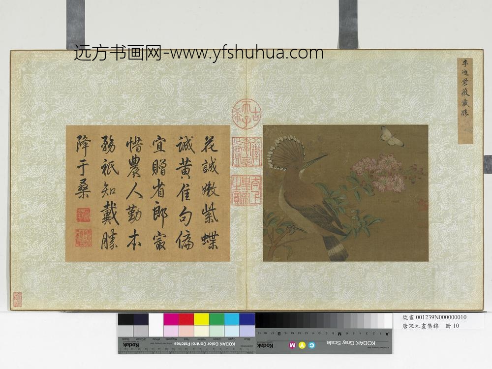唐宋元画集锦册-宋李迪紫薇戴胜