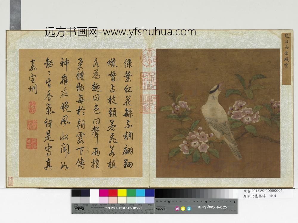 唐宋元画集锦册-宋赵昌海棠蜡觜