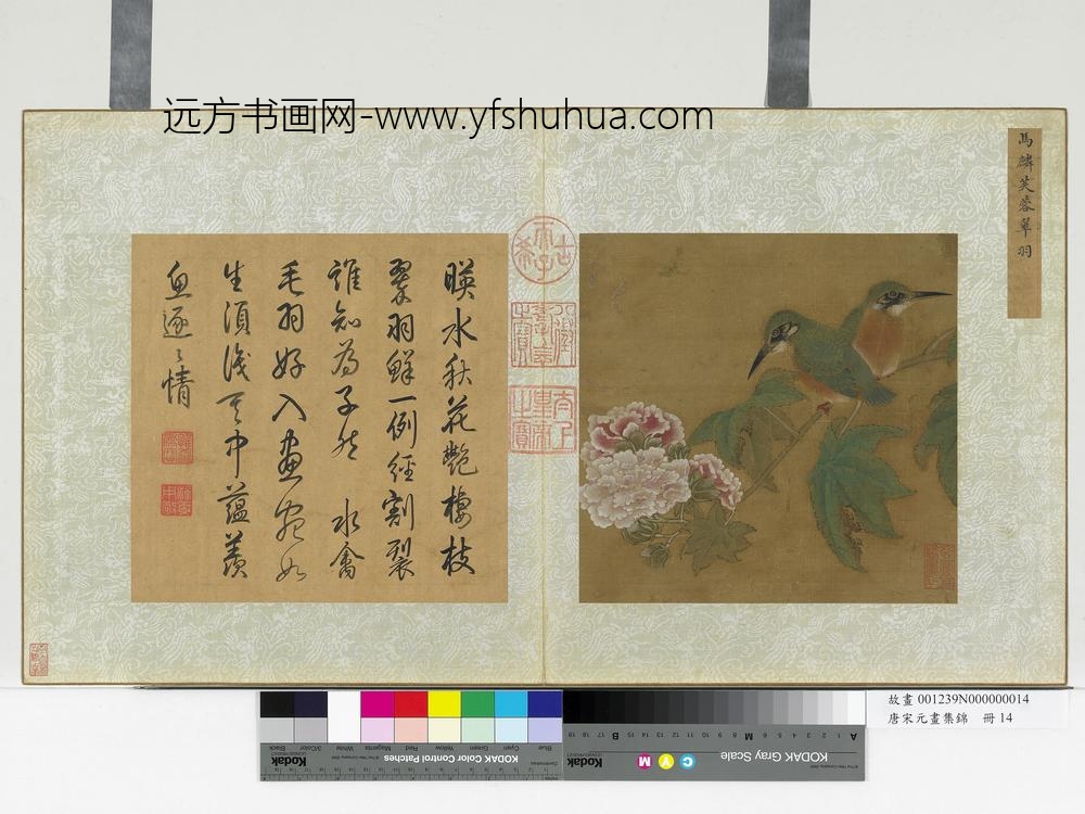 唐宋元画集锦册-宋马麟芙蓉翠羽