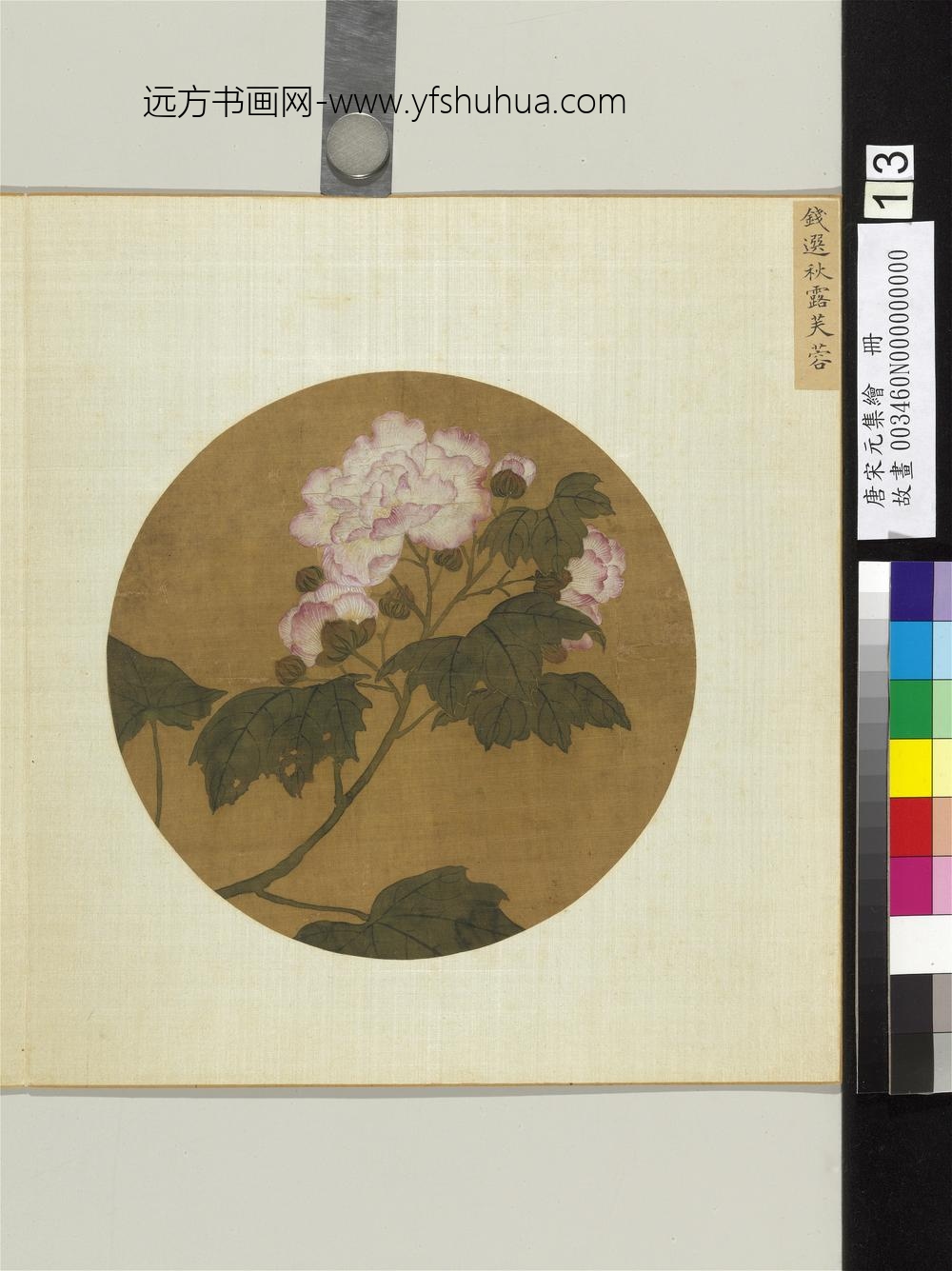 唐宋元集绘册-宋钱选秋露芙蓉