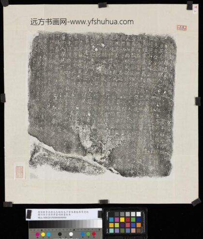 唐故银青光禄大夫检校太子宾客兼监察御史柱国河南尔朱府君墓碣铭墨拓本.jpg