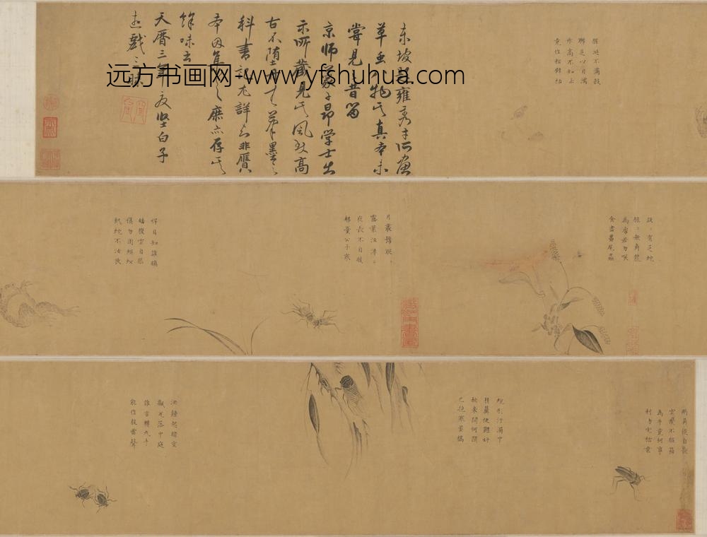 坚白子草虫卷