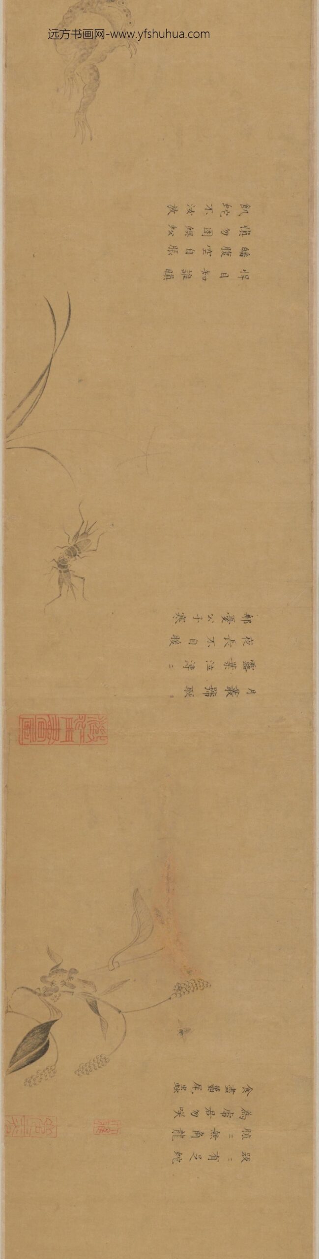 坚白子草虫卷_