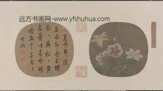 夏卉骈芳图页.jpg