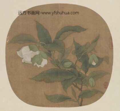 夜合花图页.jpg