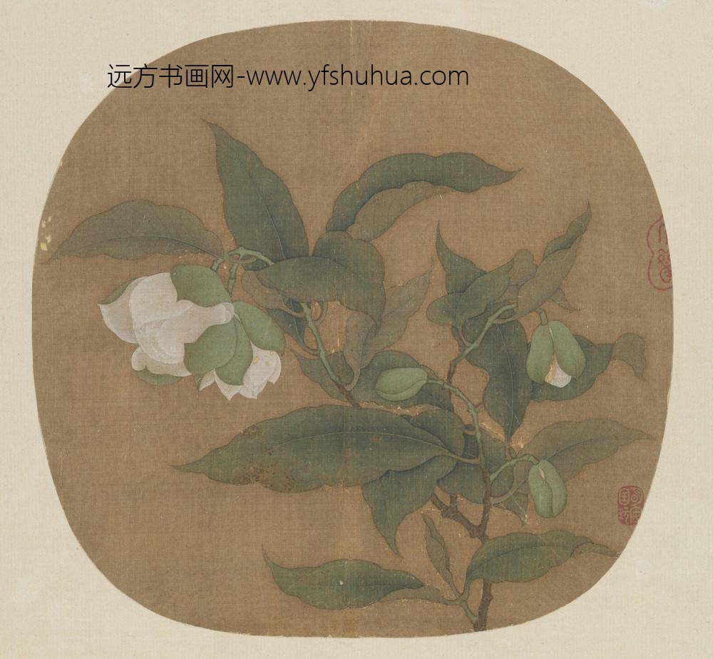 夜合花图页