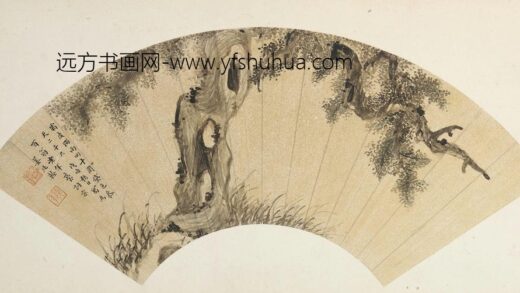 姜廷翰古柏图扇页.jpg