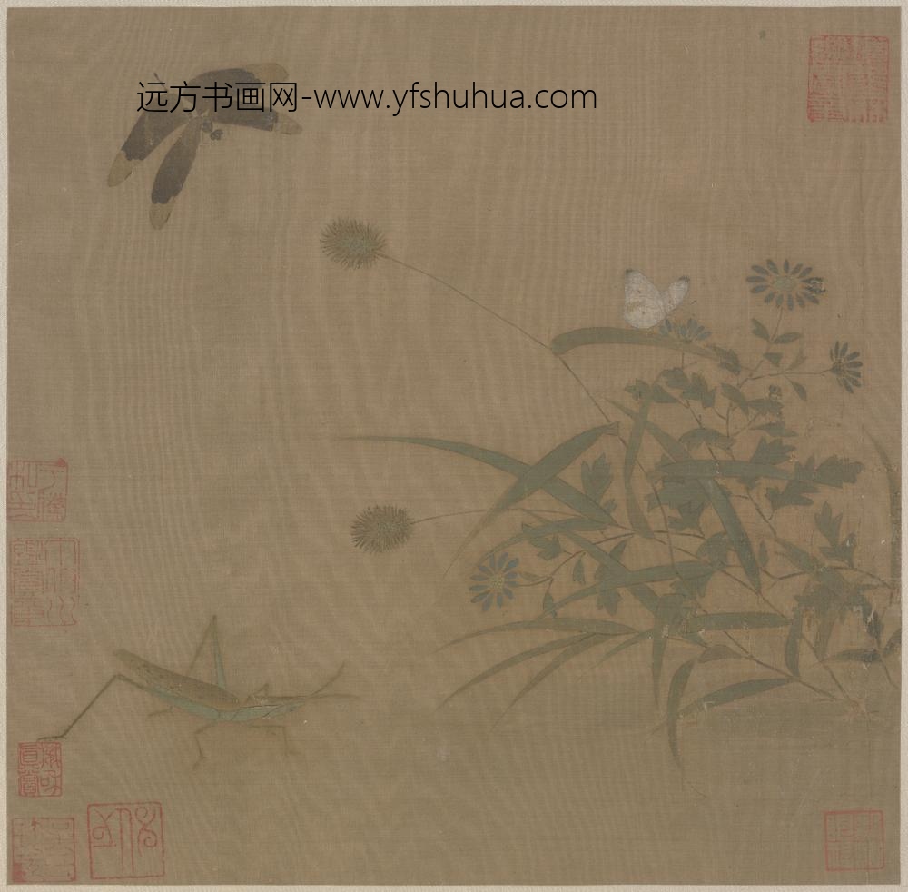 宋-宋人写生草虫图单页