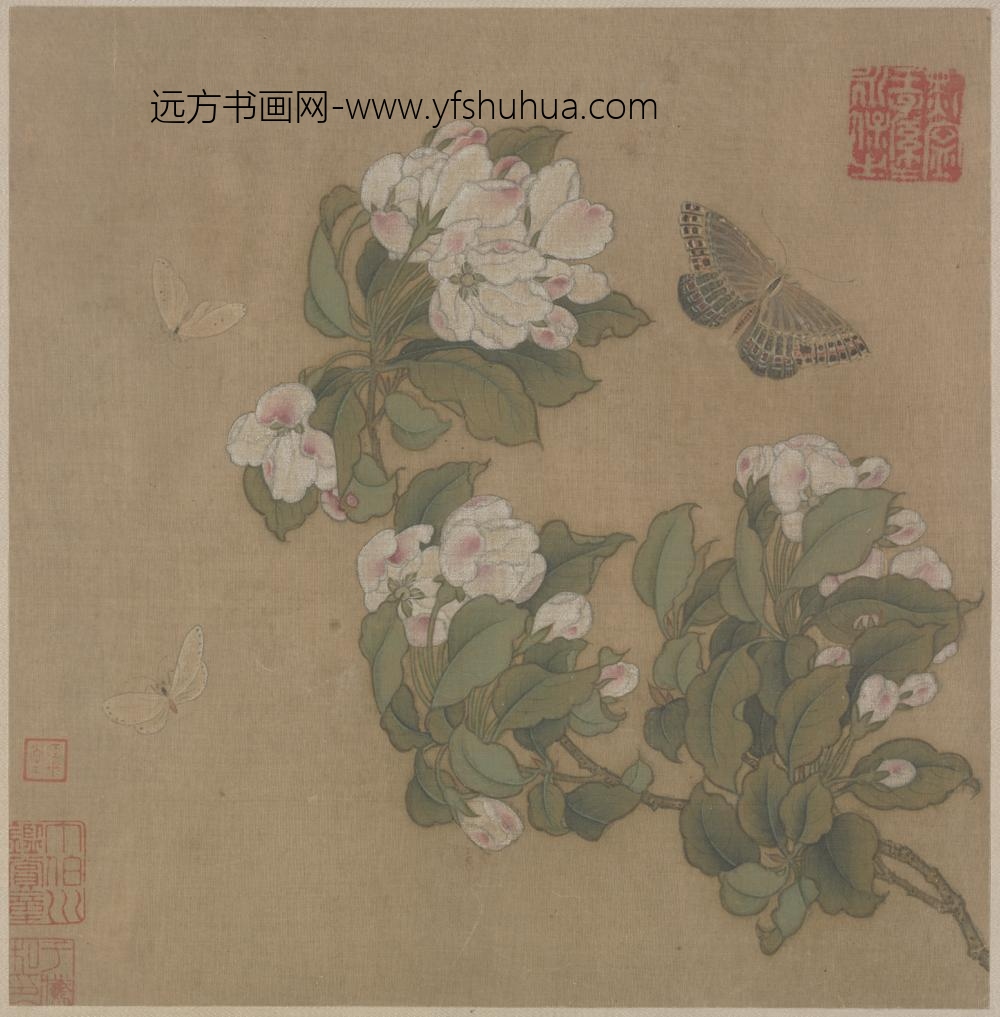 宋-宋人海棠蛱蝶图单页