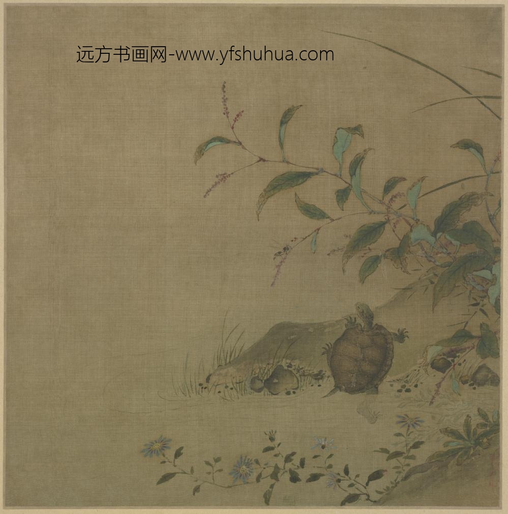 宋-宋人蓼龟单页
