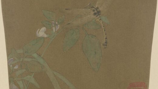 宋 宋人豆花蜻蜓图页.jpg
