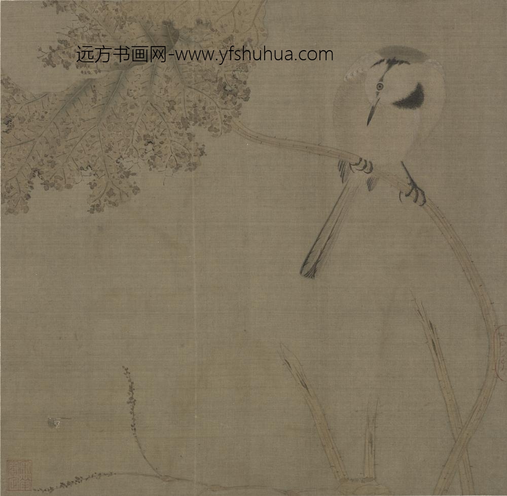 宋-宋人集绘册-宋人鹡鸰荷叶页