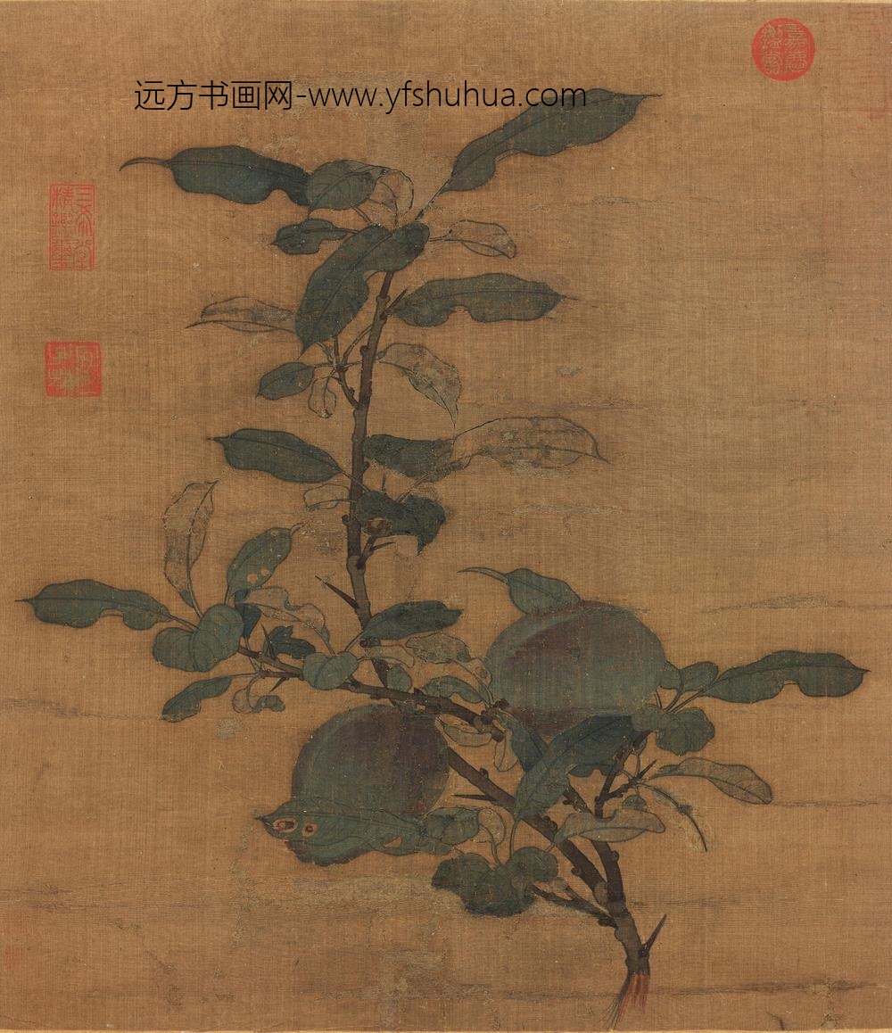 宋人折枝果页