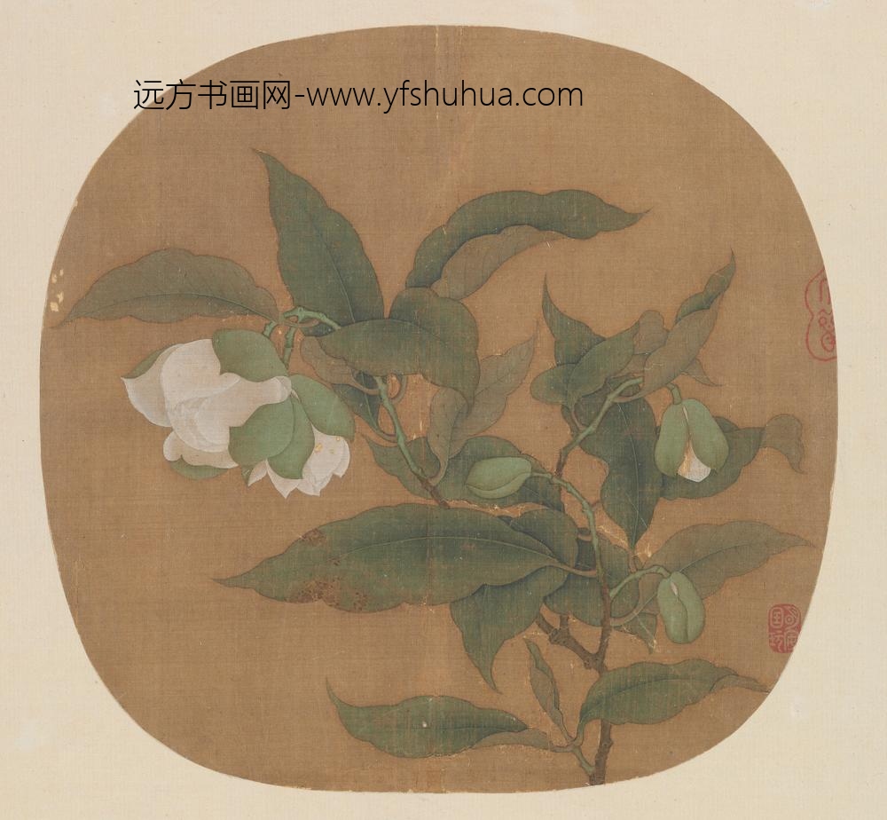 宋人白茶花图页