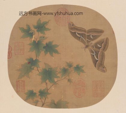 宋人青枫巨蝶页.jpg