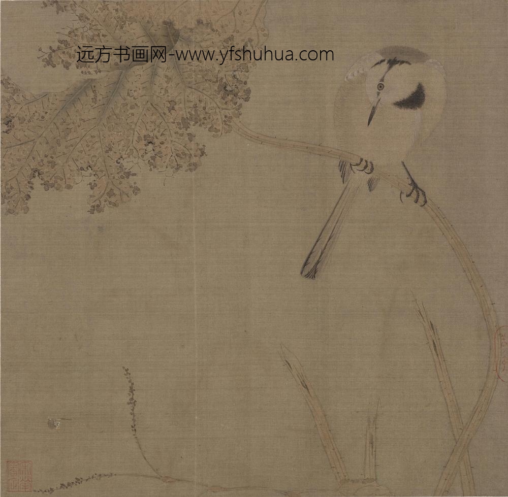 宋人鹡鸰荷叶页