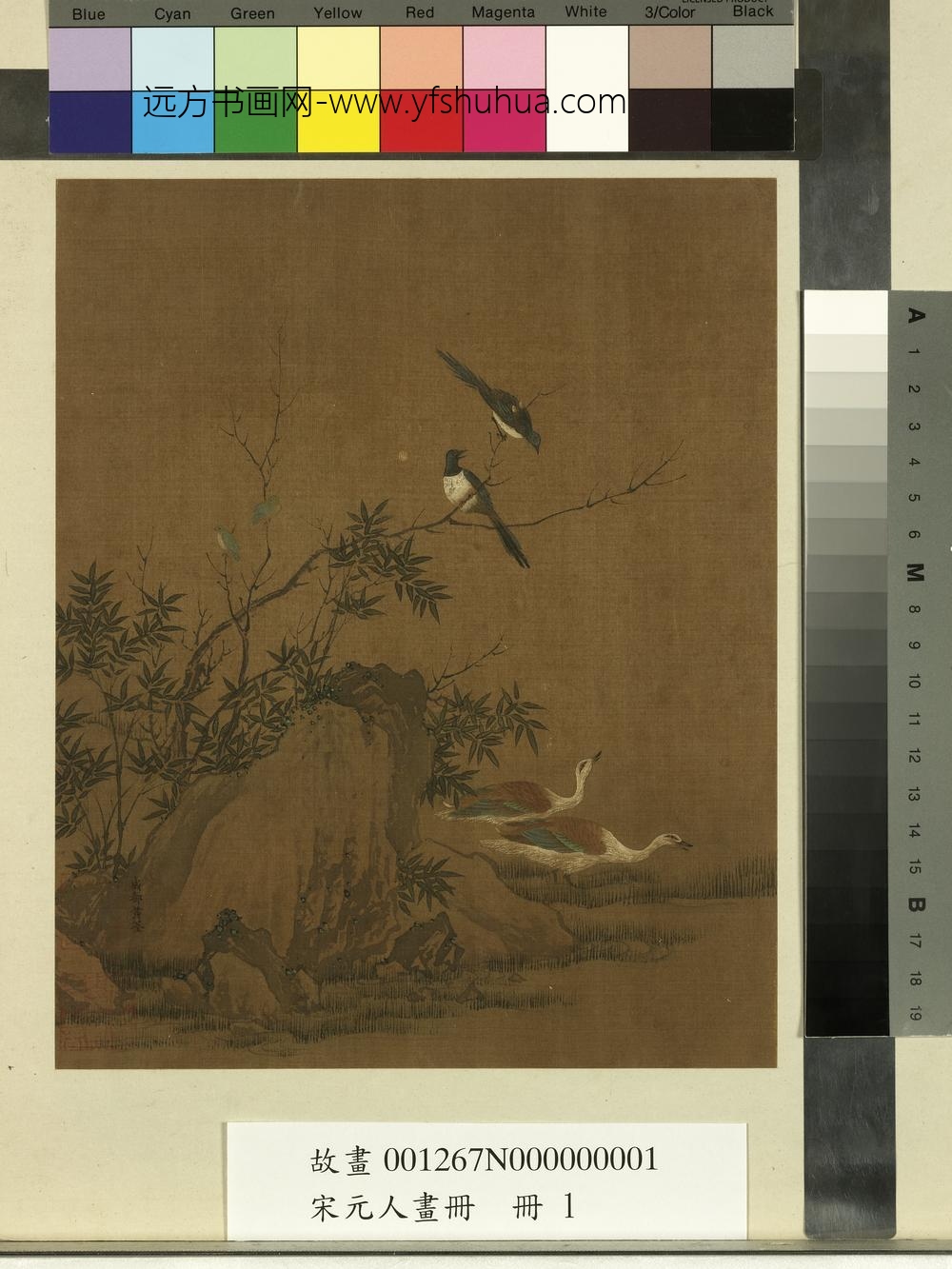 宋元人画册册-五代黄筌竹石翎毛