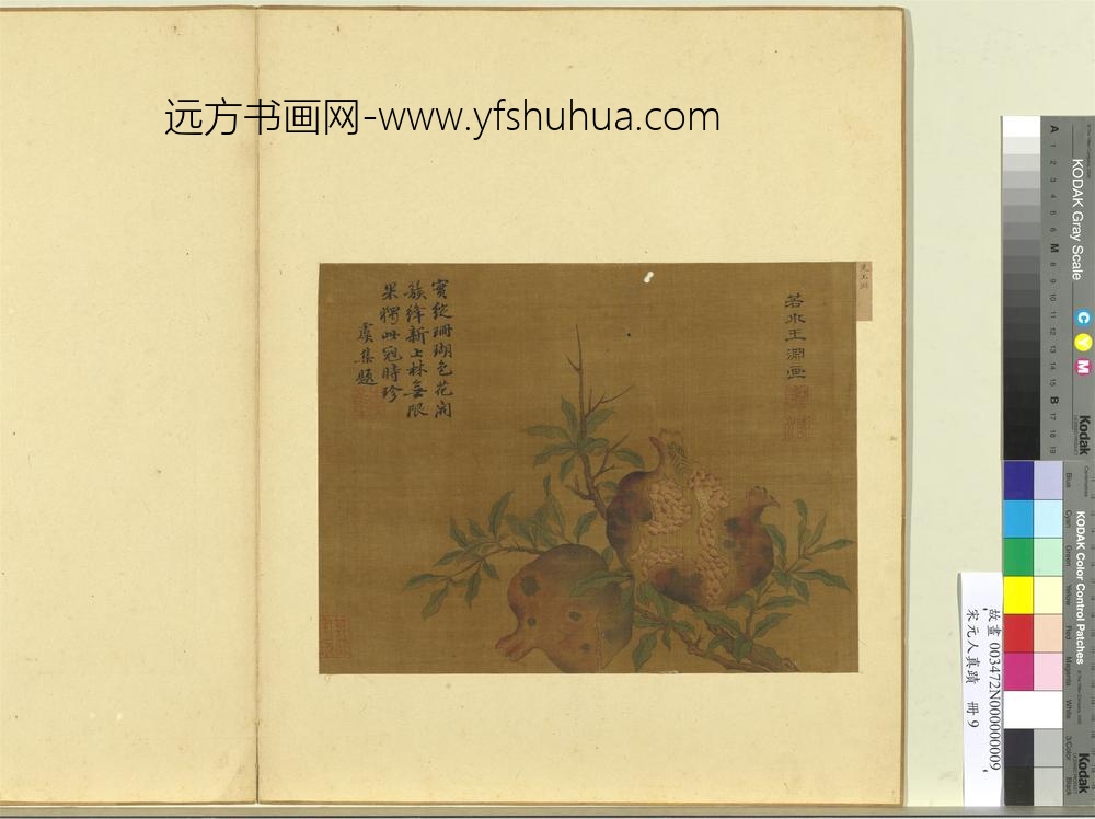 宋元人真迹册-元王渊画石榴
