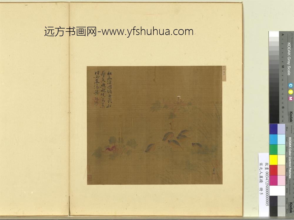 宋元人真迹册-宋董羽画游鱼