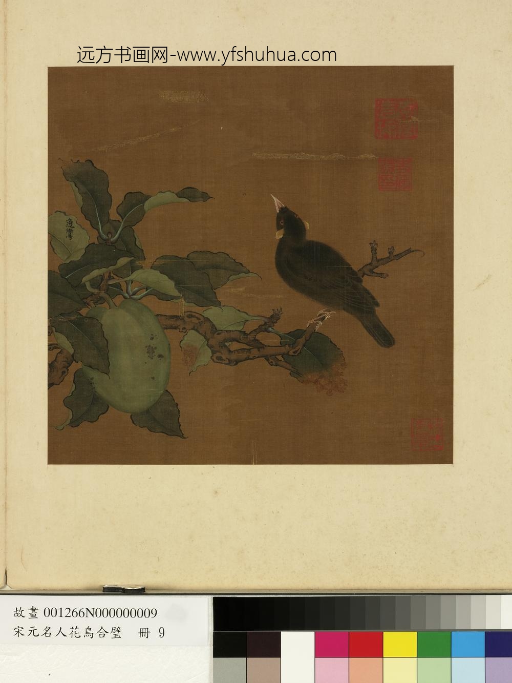 宋元名人花鸟合璧册-唐边鸾秋实山禽