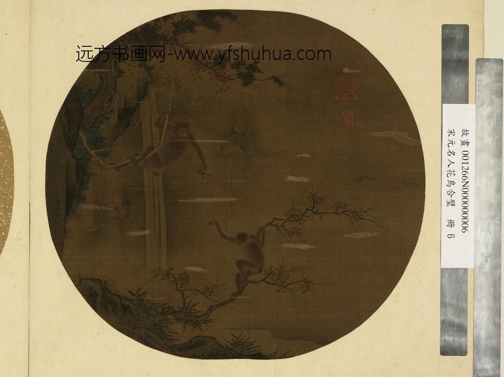 宋元名人花鸟合璧册-宋黄居寀芍药