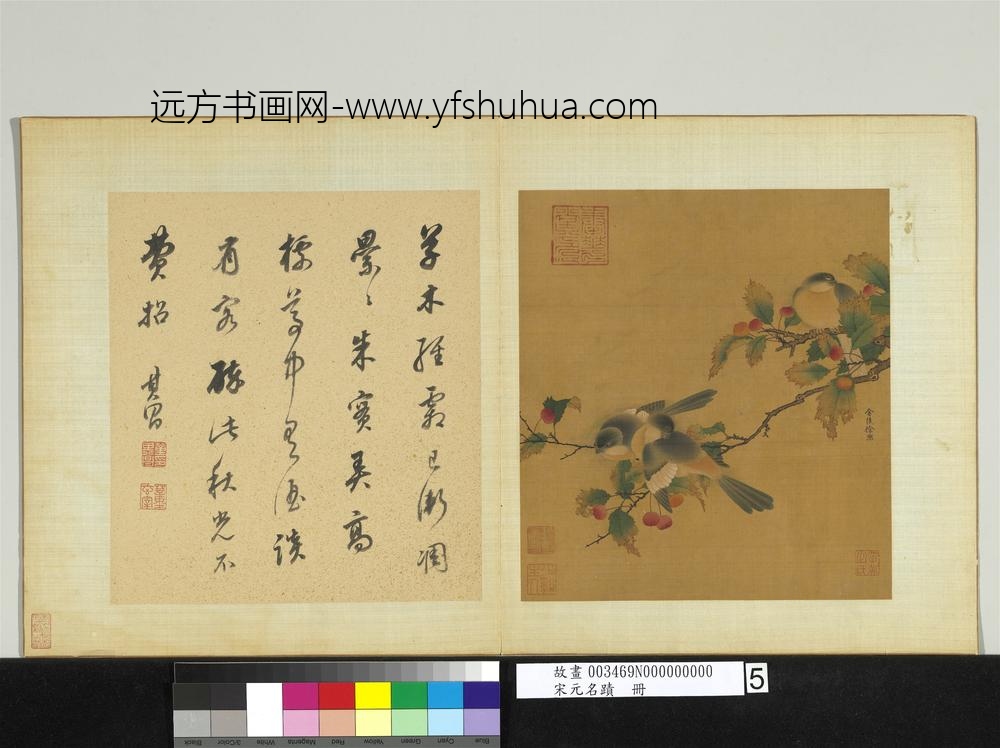 宋元名迹册-五代南唐徐熙花鸟