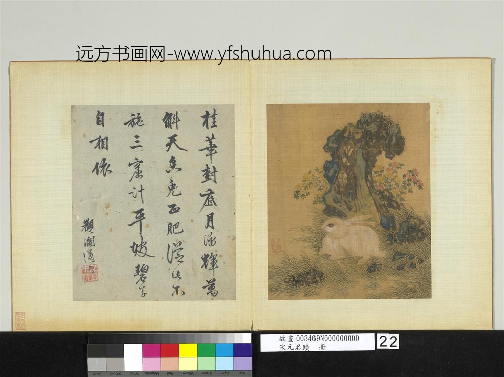 宋元名迹册-无款菊兔