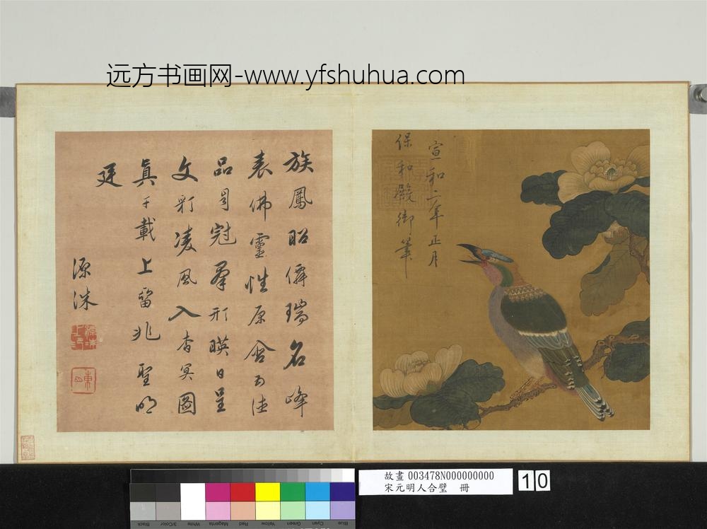 宋元明人合璧册-宋徽宗茶花绶鸟