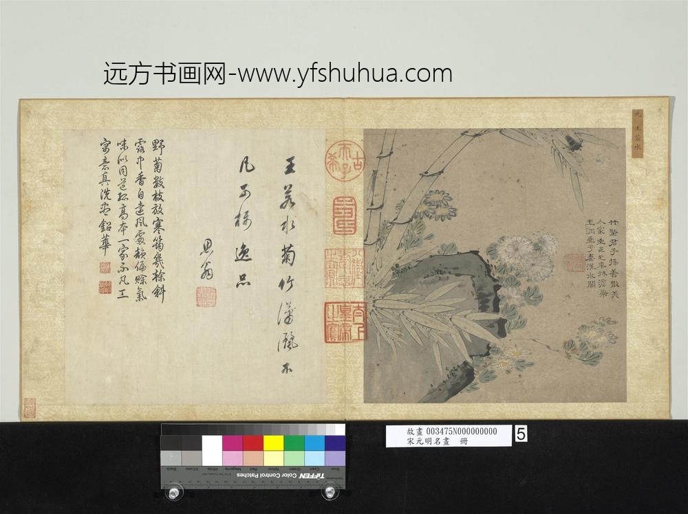 宋元明名画册-元王渊菊花竹石