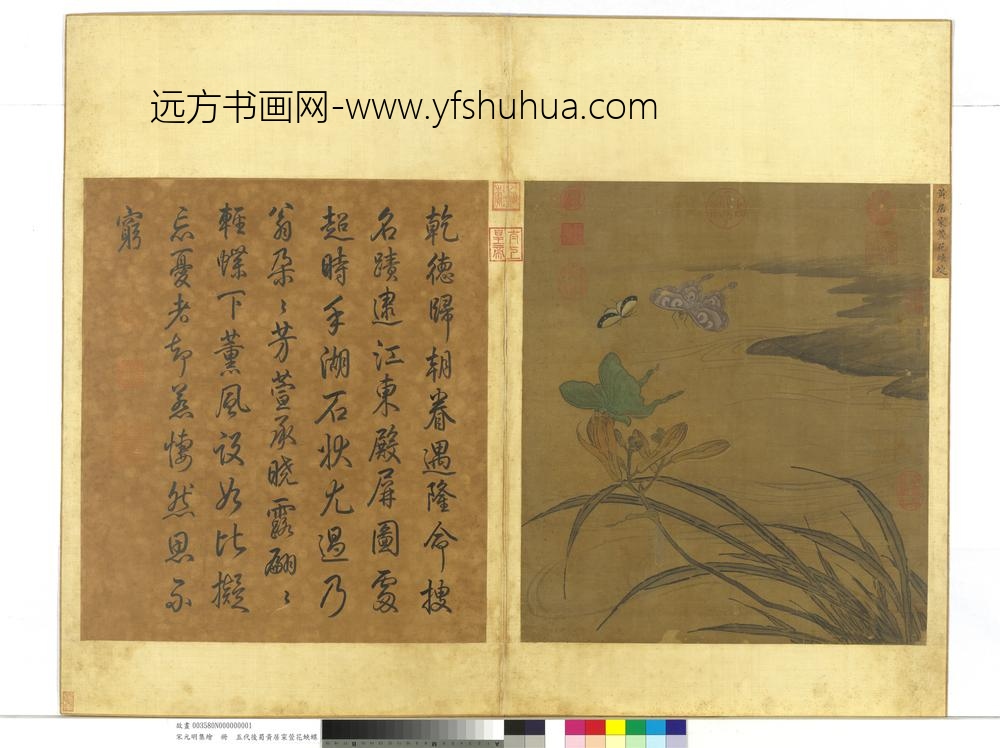 宋元明集绘册-宋黄居寀萱花蛱蝶