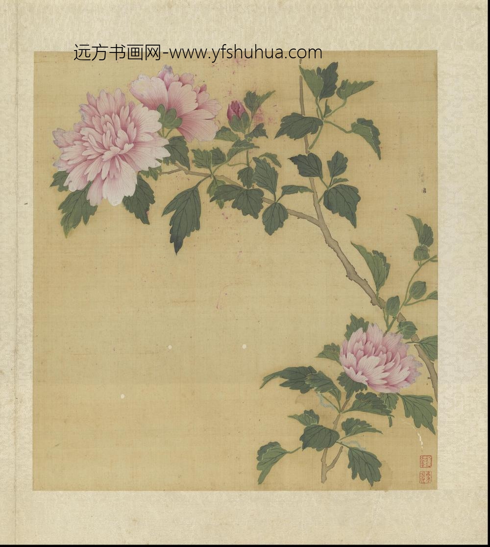 崔鏏-花卉草虫图册()