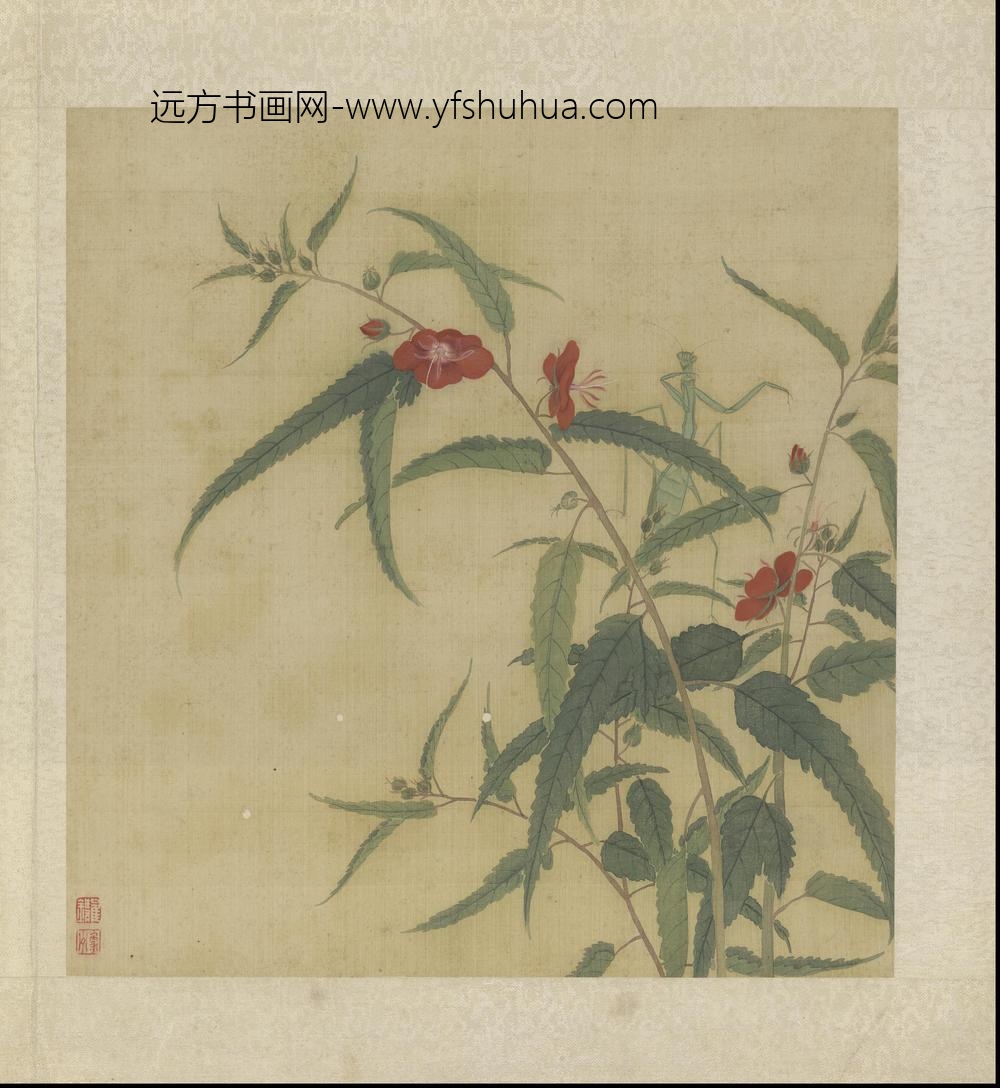 崔鏏-花卉草虫图册()