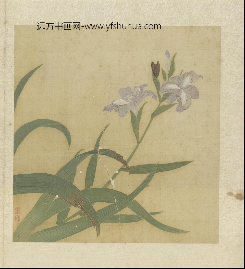 崔鏏-花卉草虫图册()