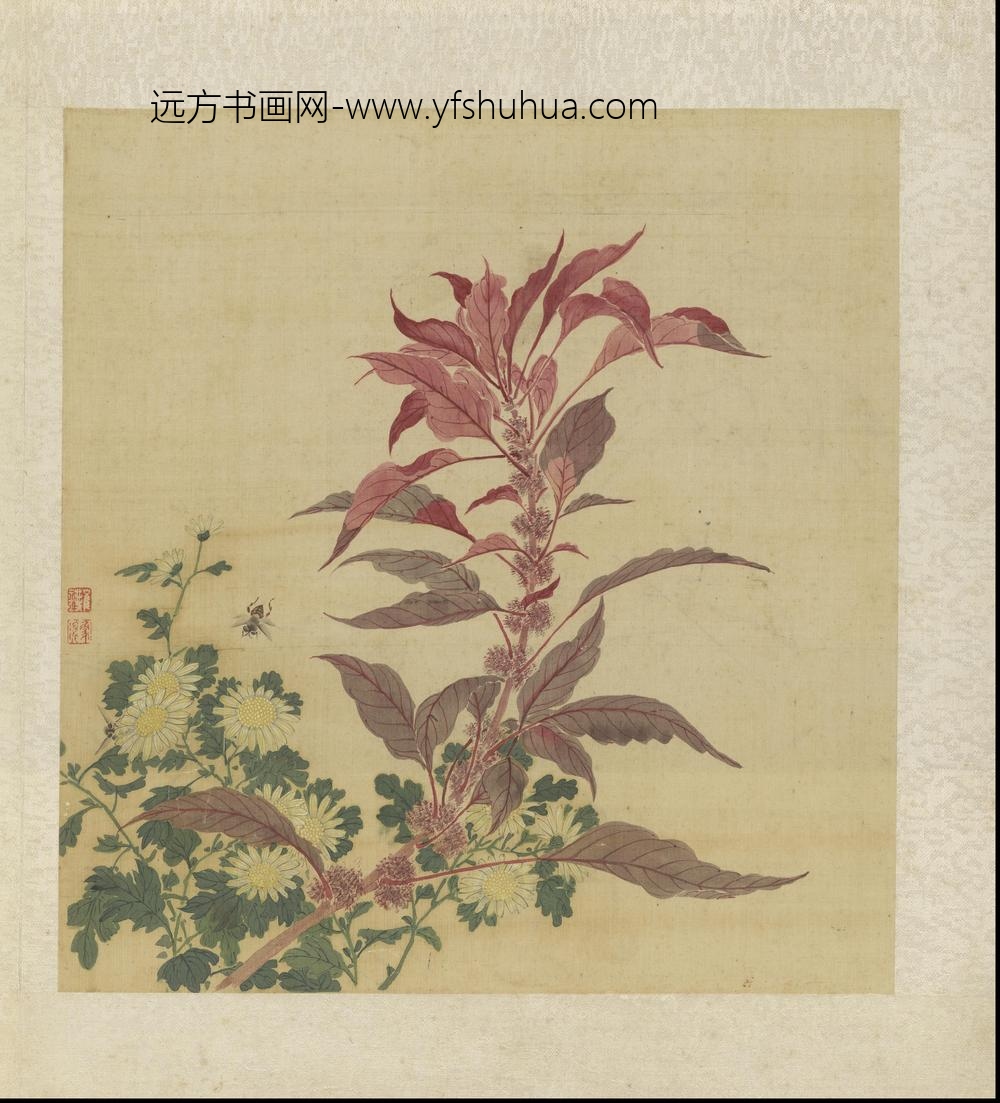 崔鏏-花卉草虫图册()