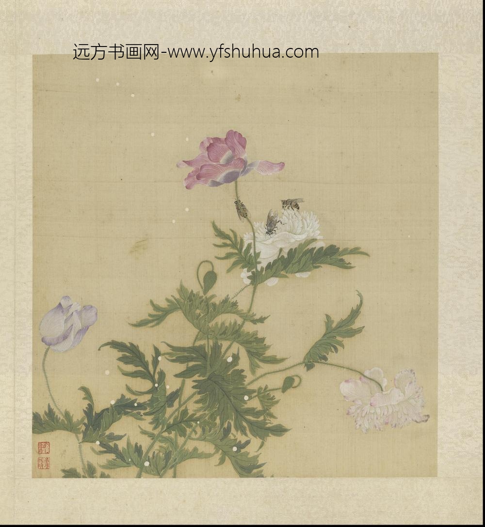 崔鏏-花卉草虫图册()