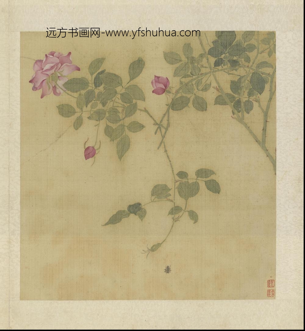崔鏏-花卉草虫图册()