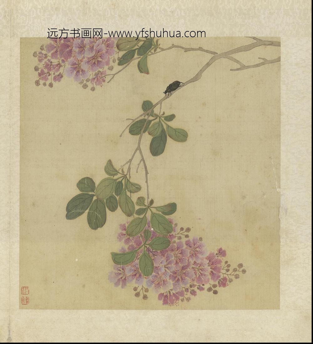 崔鏏-花卉草虫图册()