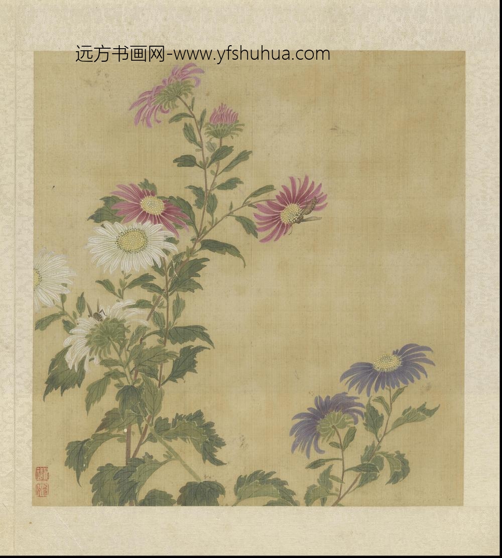 崔鏏-花卉草虫图册()