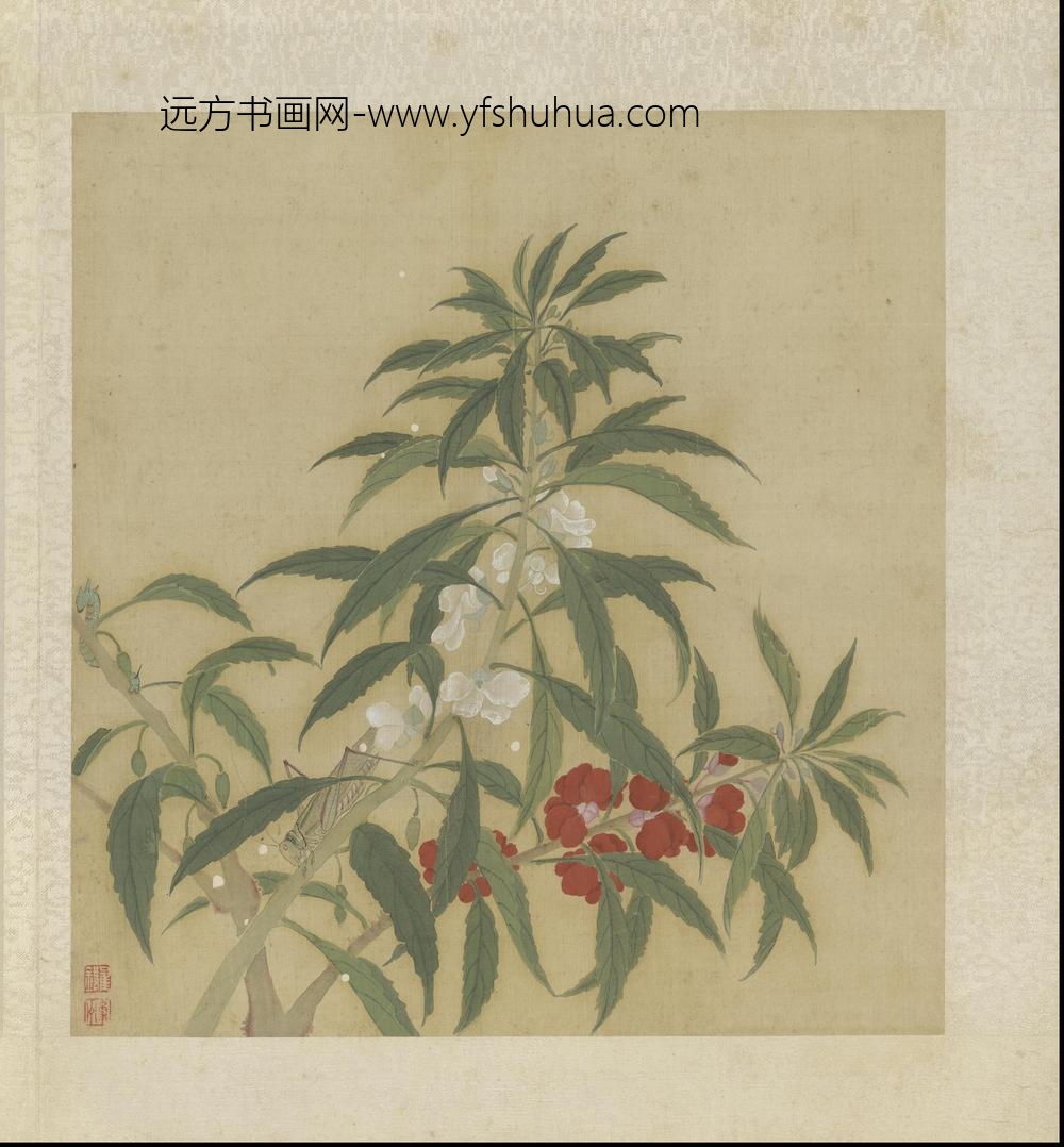 崔鏏-花卉草虫图册()