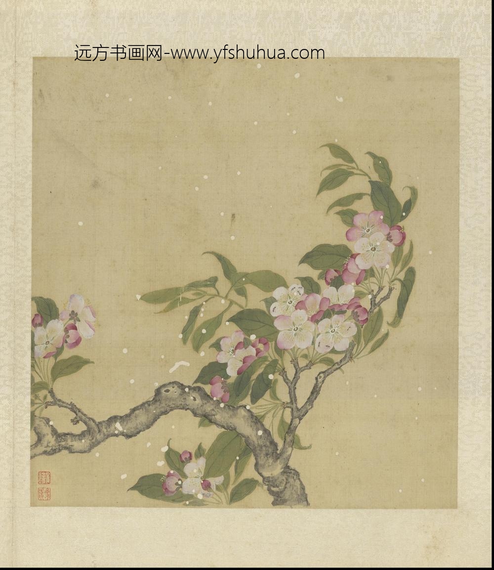 崔鏏-花卉草虫图册()
