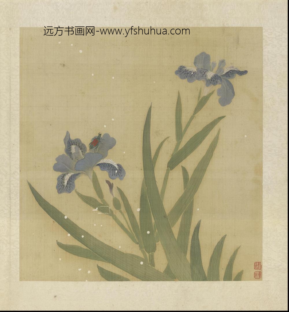 崔鏏-花卉草虫图册()