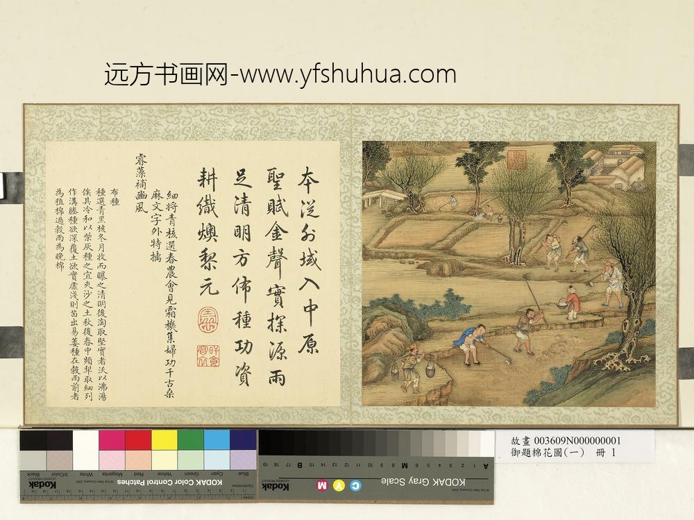 御题棉花图（一）册布种