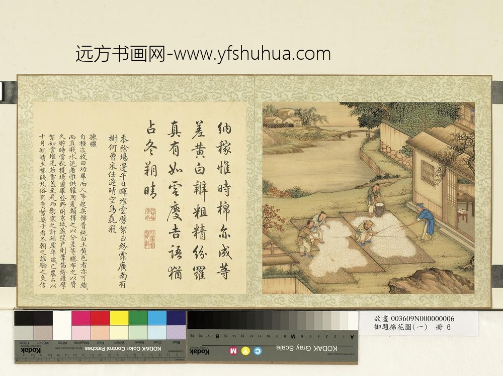 御题棉花图（一）册拣晒