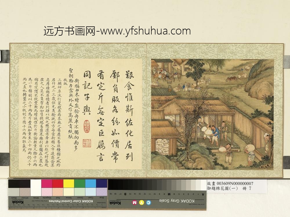 御题棉花图（一）册收贩