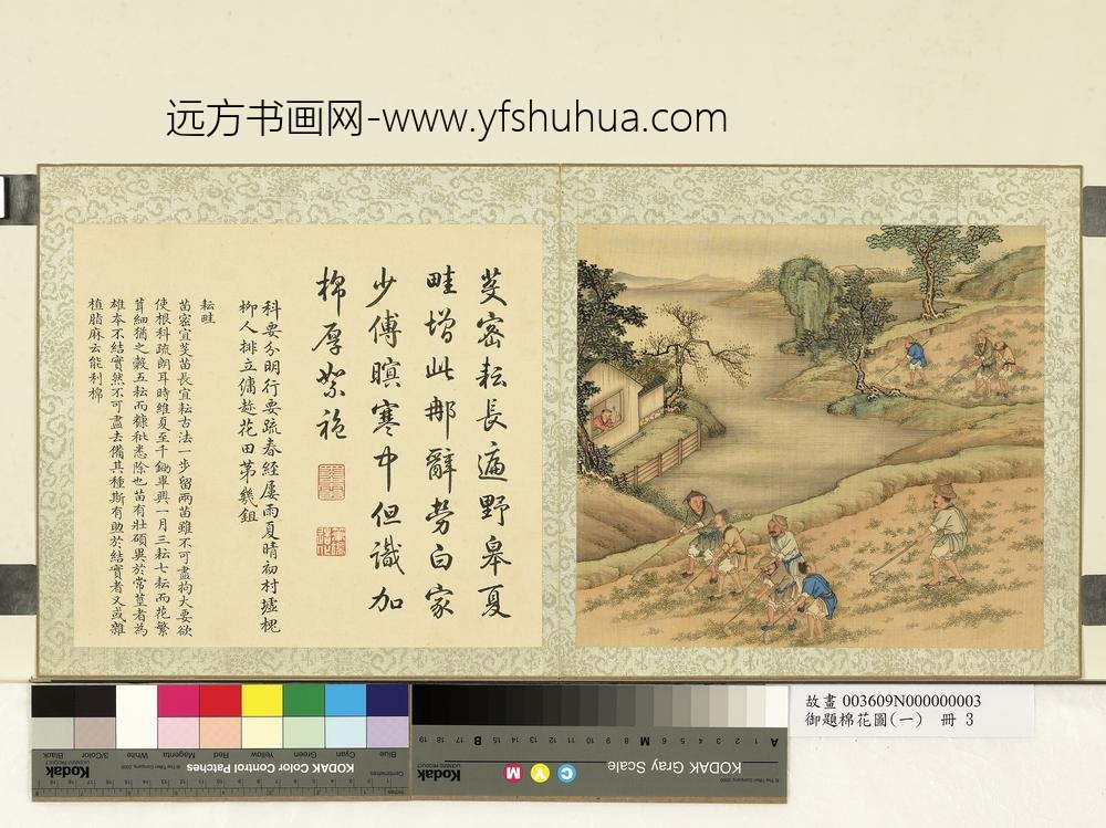 御题棉花图（一）册耘畦