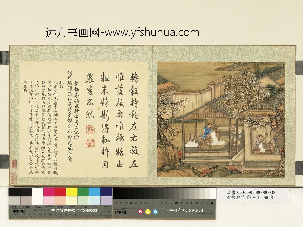 御题棉花图（一）册轧核