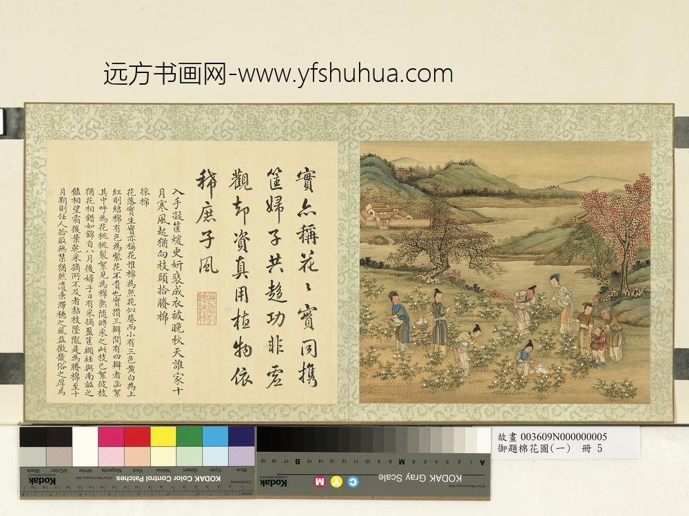 御题棉花图（一）册采棉