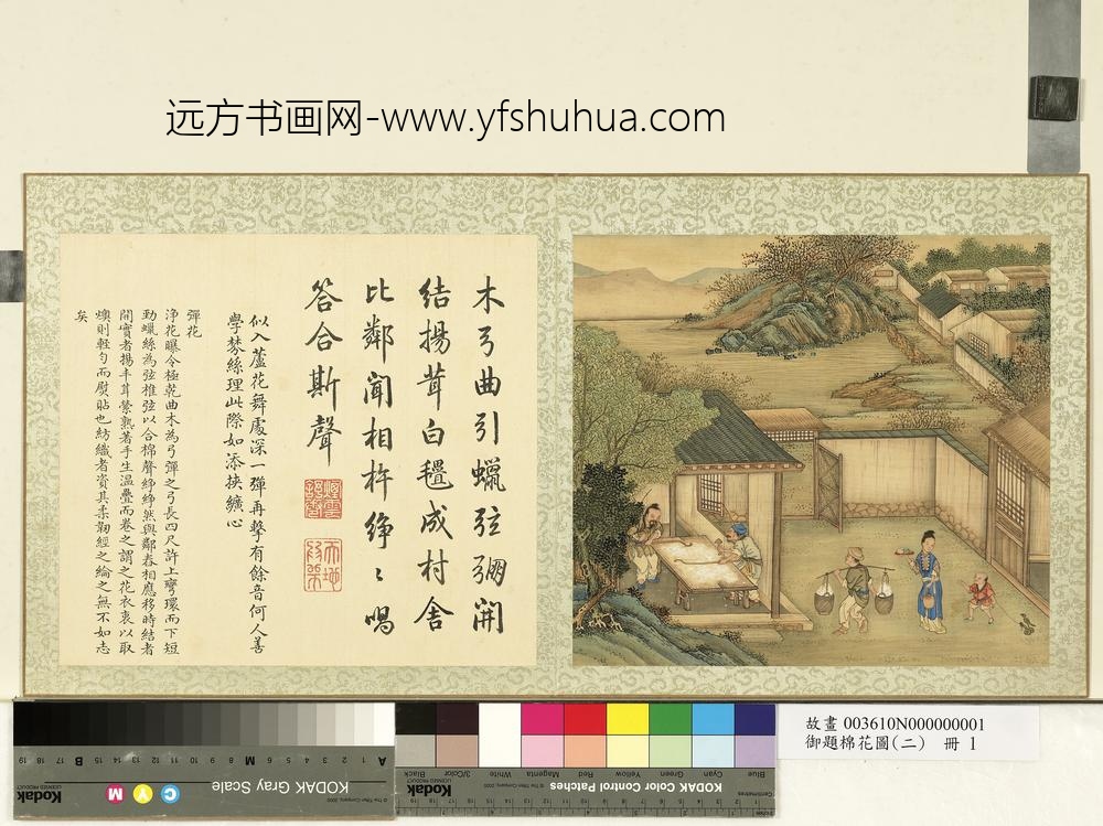 御题棉花图（二）册弹花