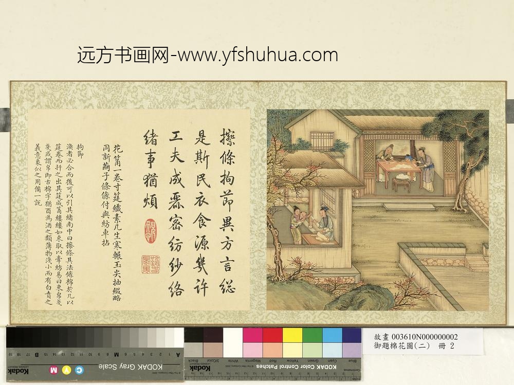 御题棉花图（二）册拘节