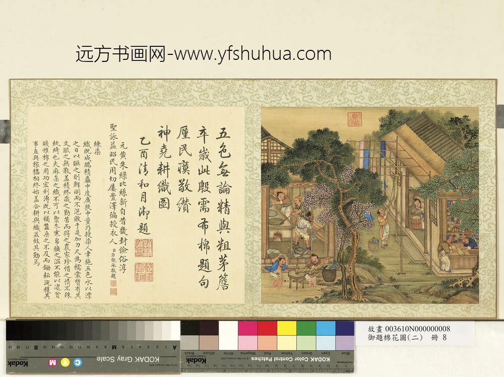 御题棉花图（二）册练染